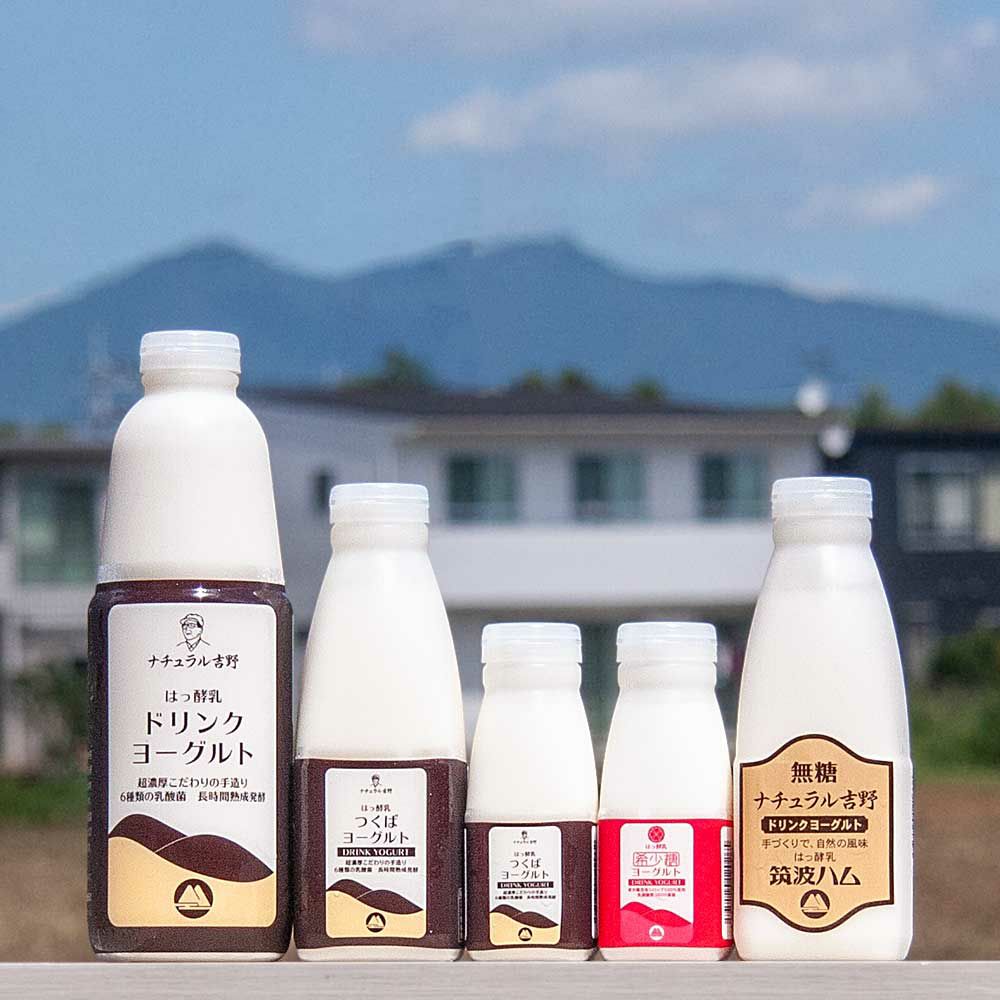 飲むヨーグルト様　オーダー品 No.38-4 ドリンクヨーグルト 800g 6本セット - ヤスダヨーグルト