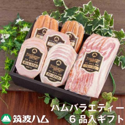 筑波ハムギフトセット22-09