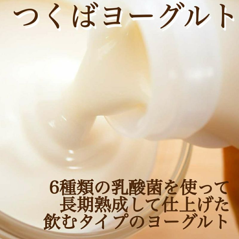 飲むヨーグルト　父の日ギフト