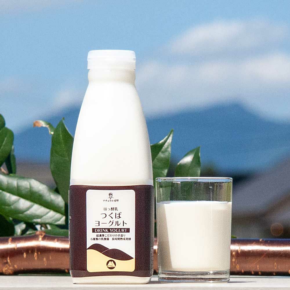 飲むヨーグルト　ギフト