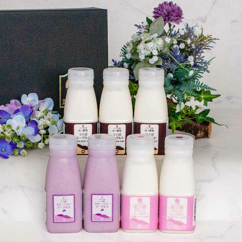 お中元ギフトセット すいれん