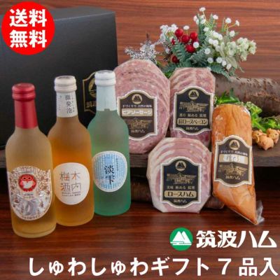 しゅわしゅわギフトセット ほしぞら 筑波ハム 茨城 ギフトセット ハム 詰め合わせ