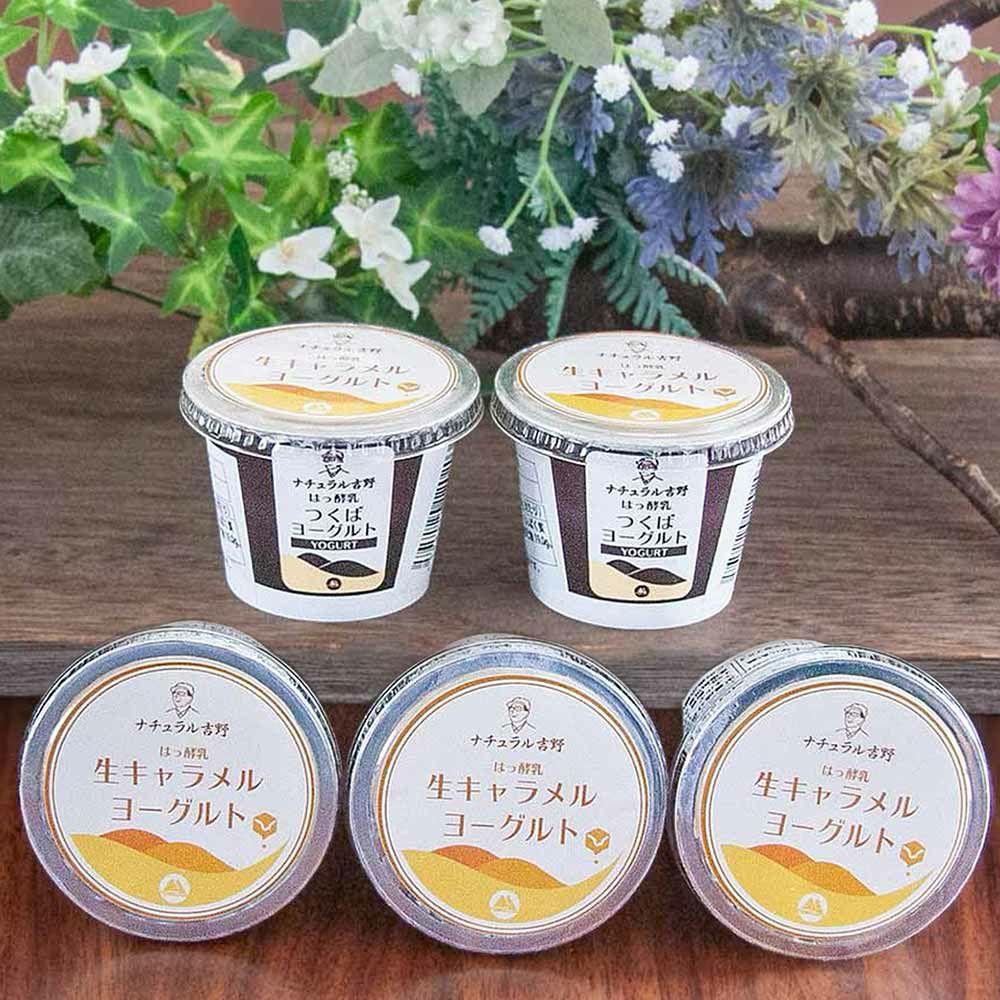 ブルーベリーずくめ ヨーグルト ギフトセット | 筑波ハムオンライン