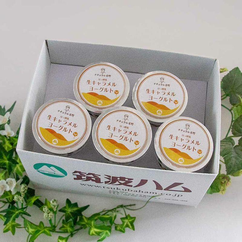 生キャラメルヨーグルト5個パック
